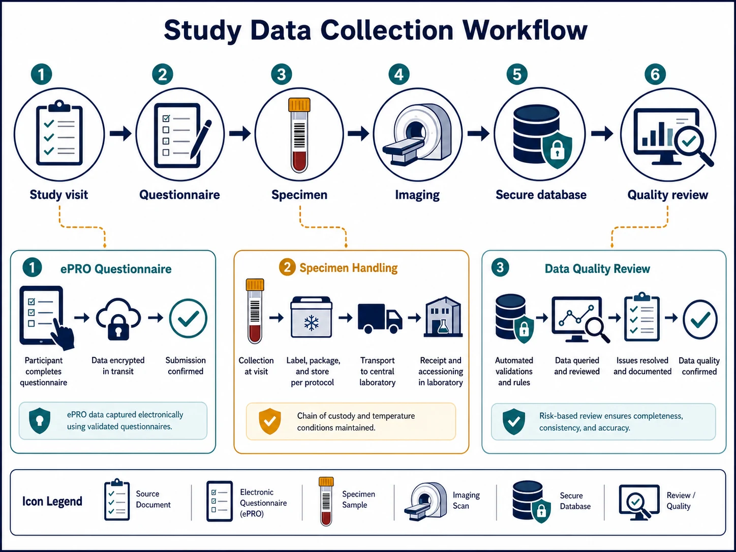 Medizinische Lehrabbildung: Workflow zur Erhebung von Studiendaten