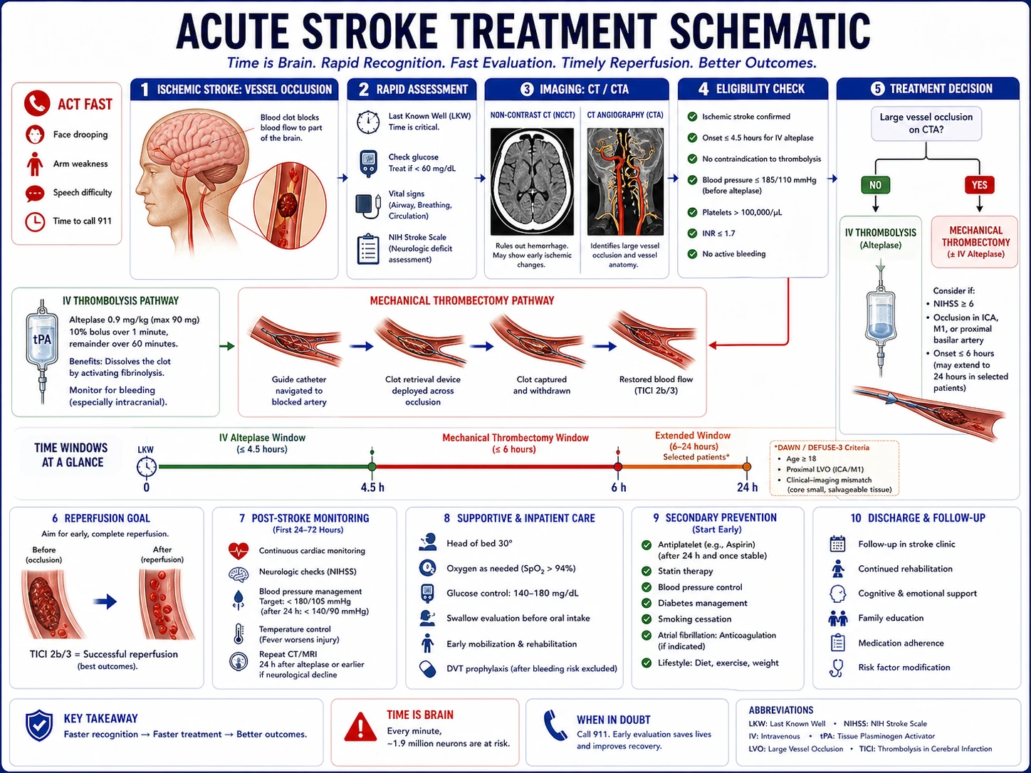 Clinical schematic medical illustration of acute ischemic stroke workflow showing cerebral artery occlusion, CT evaluation, thrombolysis window, thrombectomy pathway, and recovery timeline labels