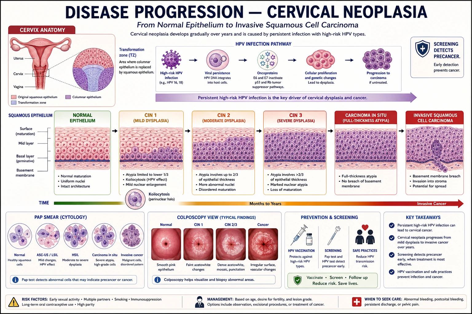 Liver fibrosis pathology draft
