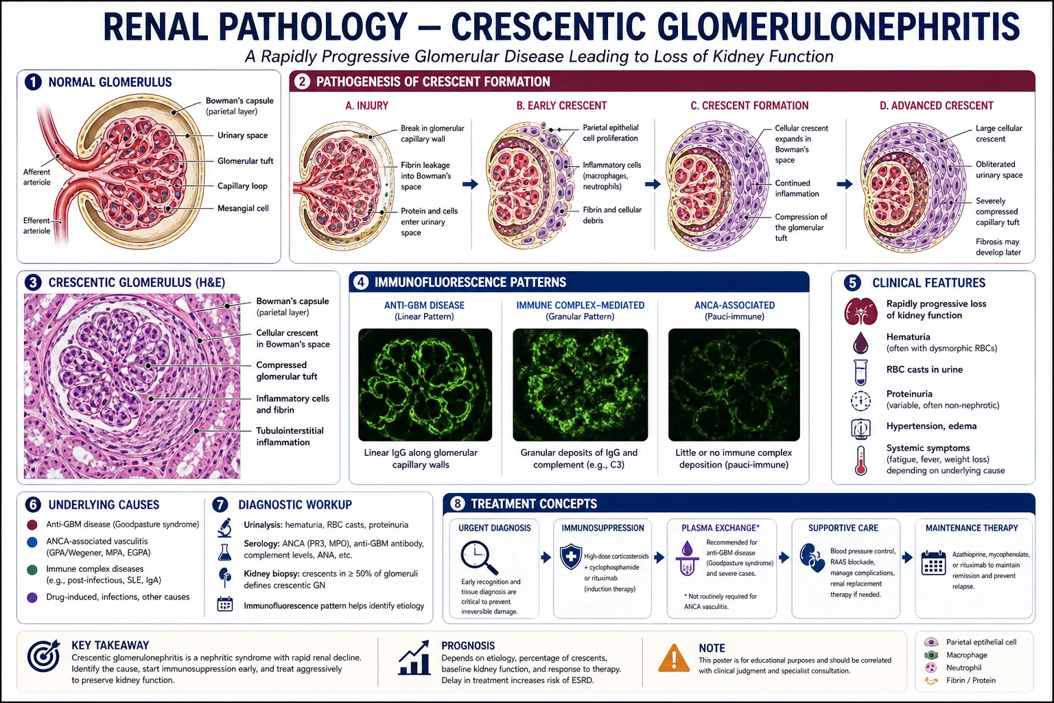 Skin lesion comparison pathology draft