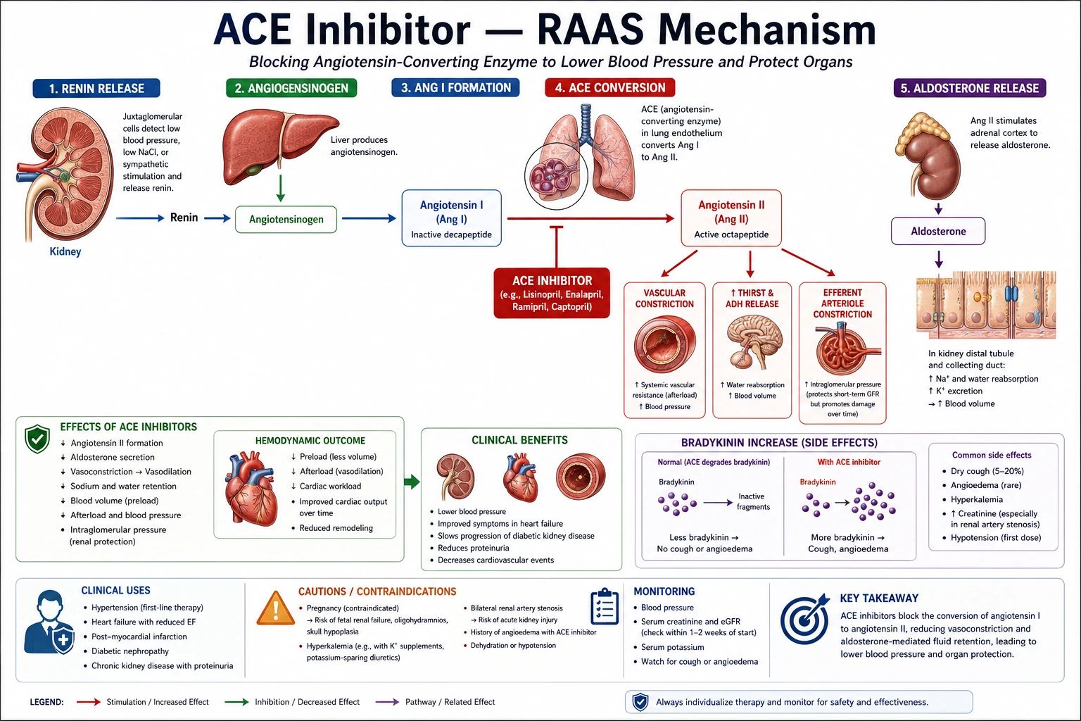Projet de pharmacologie des récepteurs de médicaments