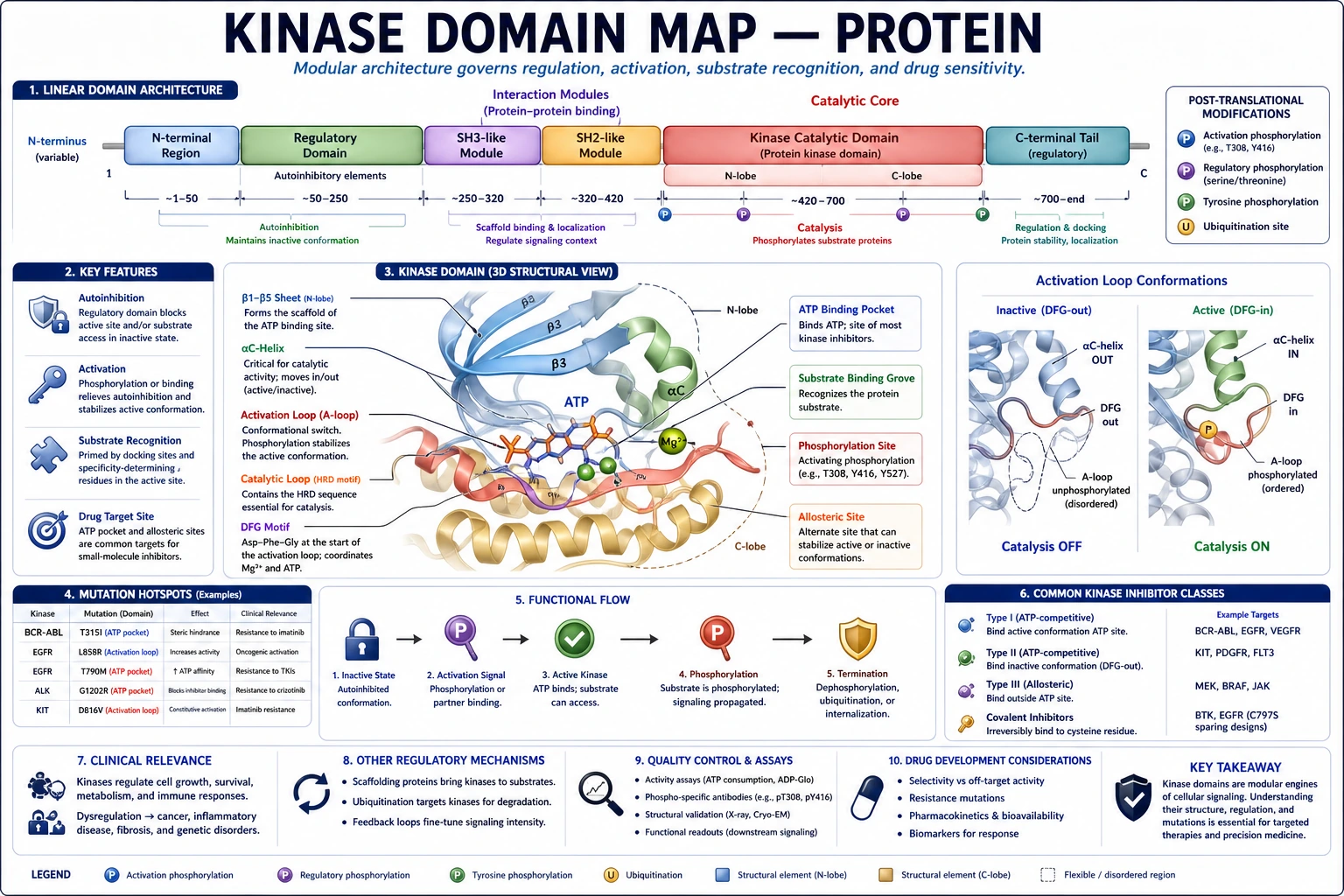 Zusammenfassung des wissenschaftlichen Zahlenentwurfs zu Biomarkern