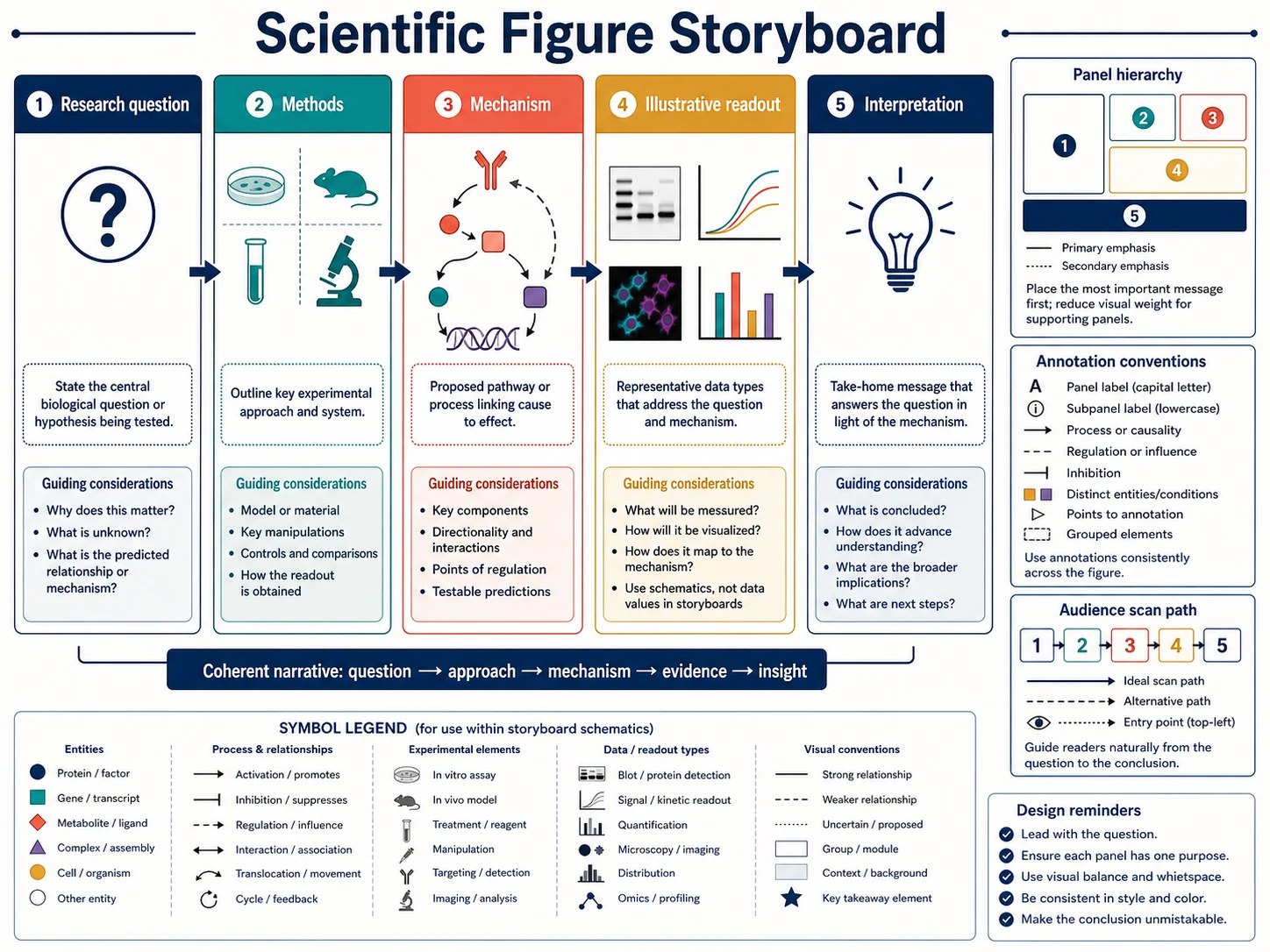 Figure pédagogique médicale : Storyboard de figure scientifique
