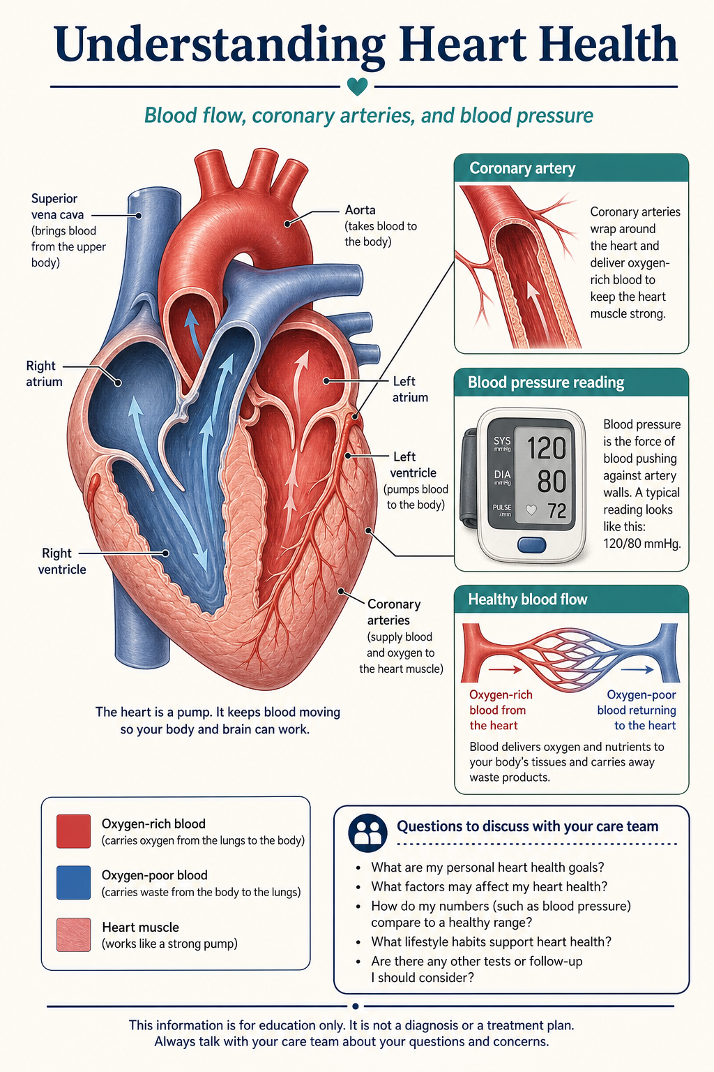 Tavola educativa per pazienti ad alta densità informativa che spiega la salute del cuore con vista del cuore etichettata, riquadri di supporto, legenda e indicazioni in inglese semplice