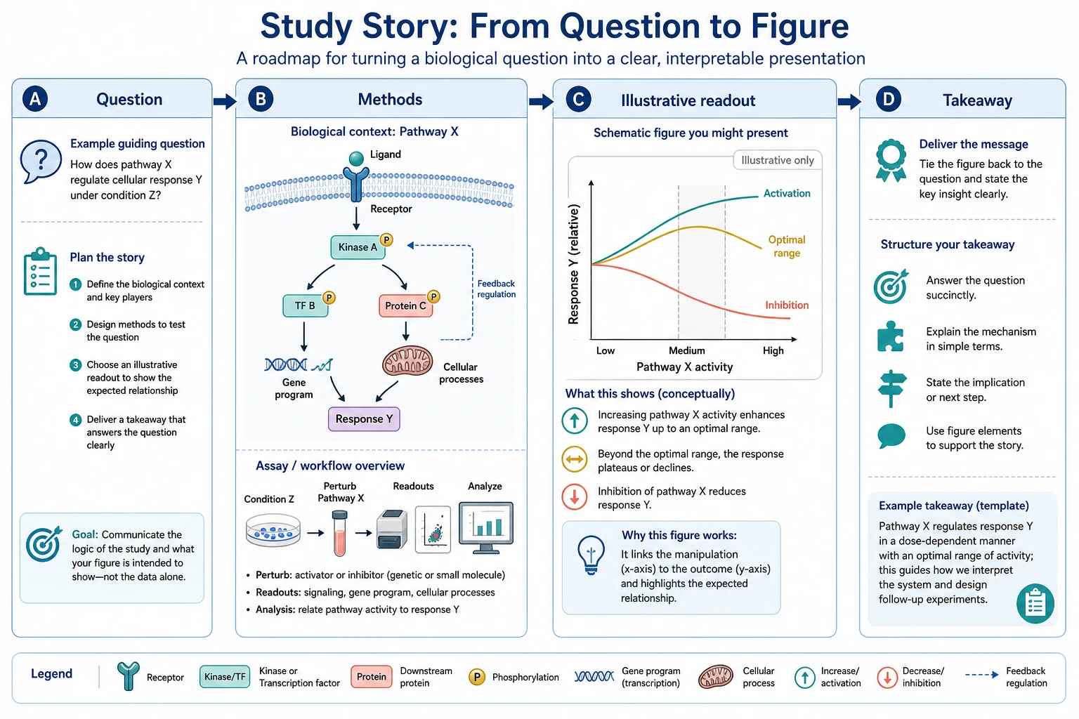 Scientific presentation storyboard showing a question, methods pathway, illustrative readout, takeaway, workflow inset, and compact legend